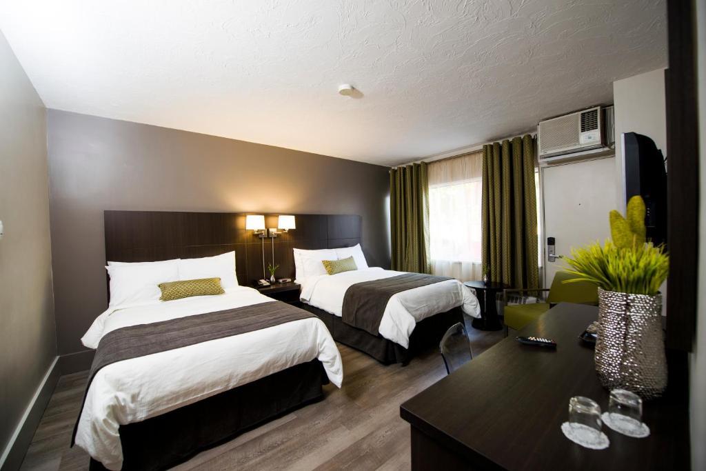V Hotel & Suites Moncton Rum bild